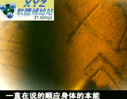 藍光畫質版 養生篇 從字到人 主講:曲黎敏 01-28集(完) 國語發音 繁體/簡體中文語言字幕版(適用任何家用DVD播放機超清晰畫面超長超值享受)(DVD9版)(3DVD9)